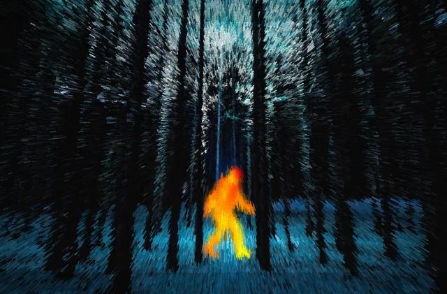 I mockup of a forest with a bigfoot caught by a thermal camera.