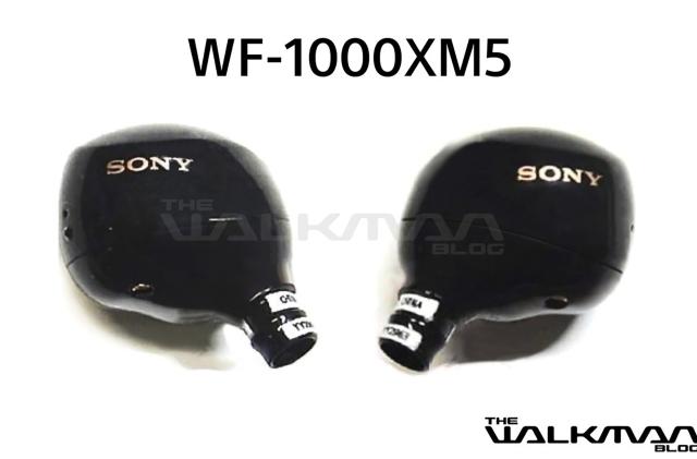 Sony WF-1000XM5 wireless earbuds leak