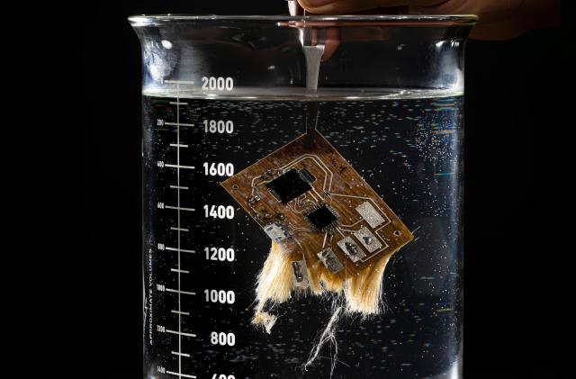 Photo of a printed circuit board (PCB) in a glass measuring cup, dissolving in water. Its fibers are coming apart near the bottom.